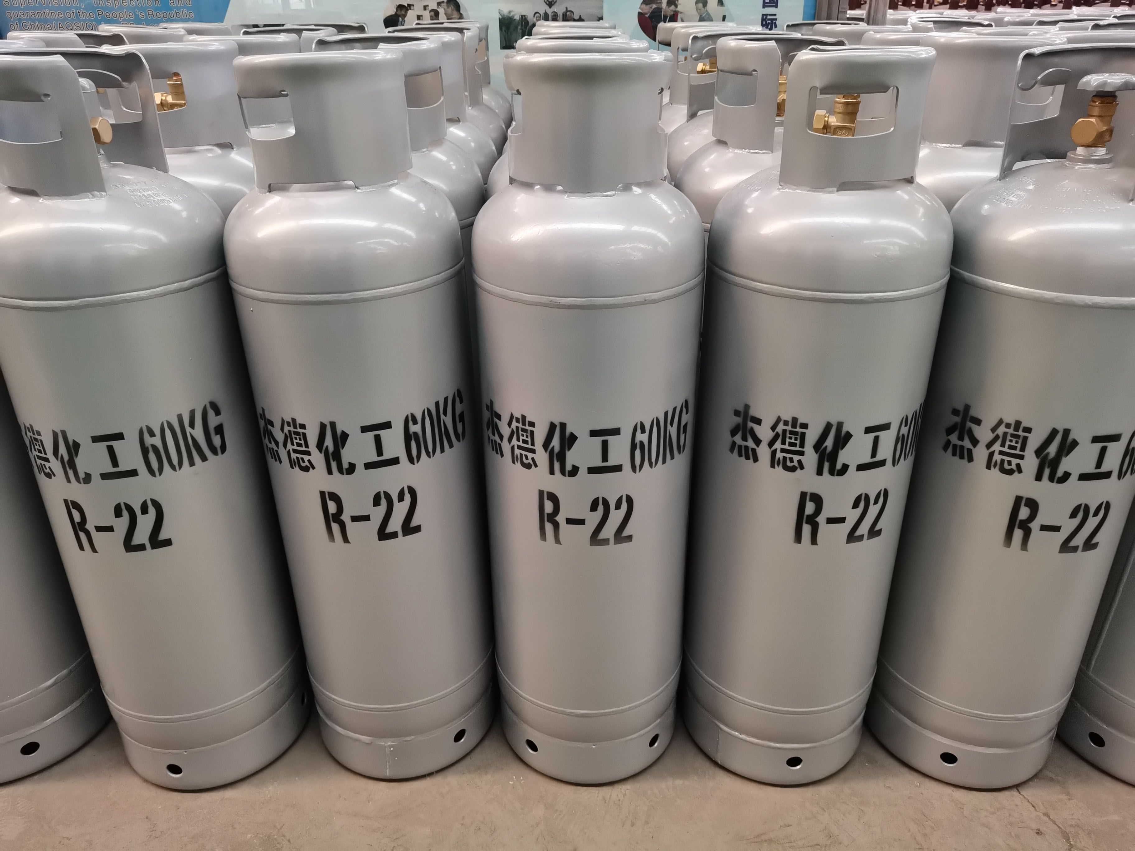 60L-R22制冷剂瓶